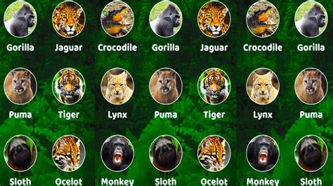 Learning Animals Names Animals Farm Animals Home Learning