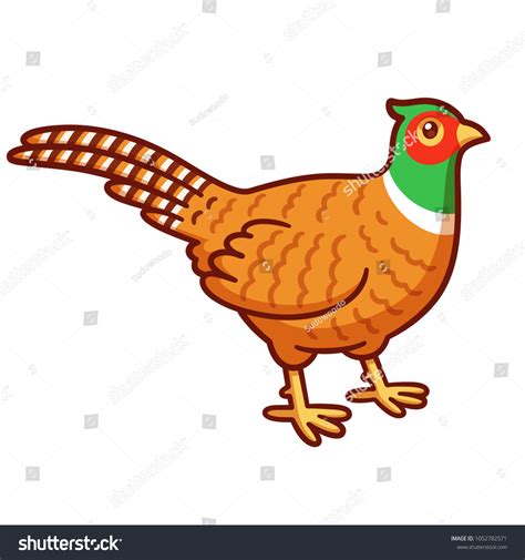 Pheasant Cartoon Over 912 Royalty Free Licensable Stock Vectors