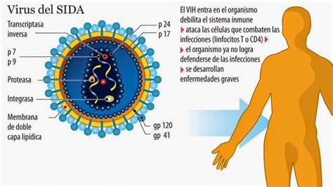 Radio Estado 32: Logran erradicar por primera vez el VIH de una célula ...