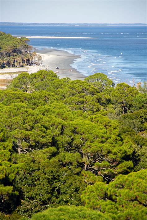 Hunting Island State Park And The Saga Of Seventeen Splinters
