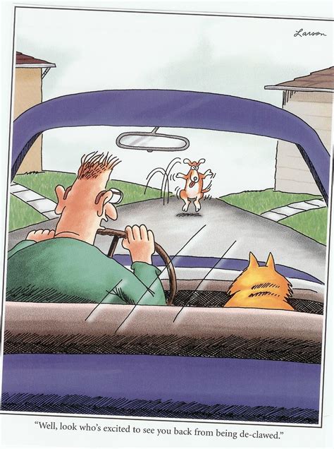 Pin By Andrea Campbell On Stuff I Just Like Far Side