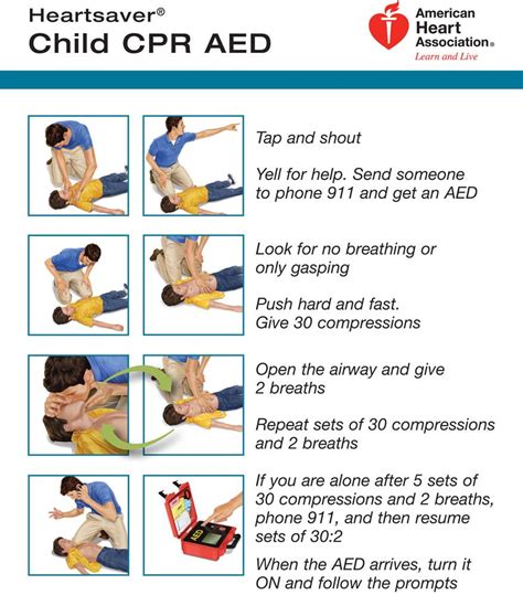 Also learn about cardiovascular conditions, ecc and cpr, donating, heart disease information for healthcare professionals, caregivers, and educators and healthy living Child CPR Card (there is also one for infants on the website) by American Heart Association ...