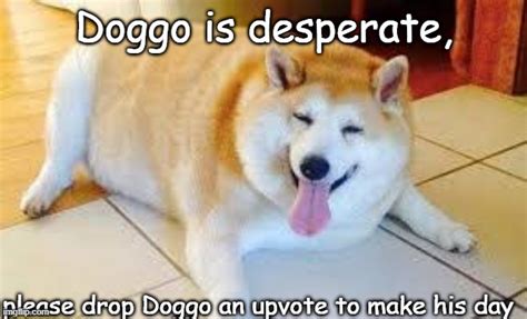 You Know Doggo Would Really Love It Imgflip