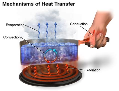 It explains the chill we feel on a clear breezy night, or why earth's core has yet to cool. การถ่ายโอนความร้อน (Heat Transfer) - Tuemaster เรียน ...