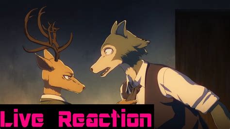 Beastars Episode 1 Live Reaction And First Impressions Youtube