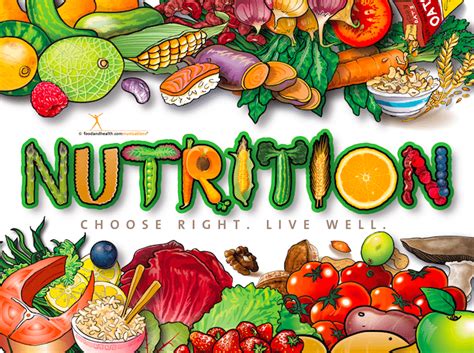 Choose from over a million free vectors, clipart graphics, vector art images, design templates, and illustrations created by artists worldwide! Get Ready for Nutrition Month! - Food and Health ...
