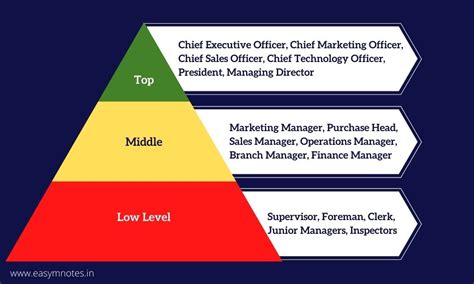 Different Levels Of Management Business Management