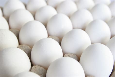 4 Ever-confused Facts About Eggs | WorkoutTrends