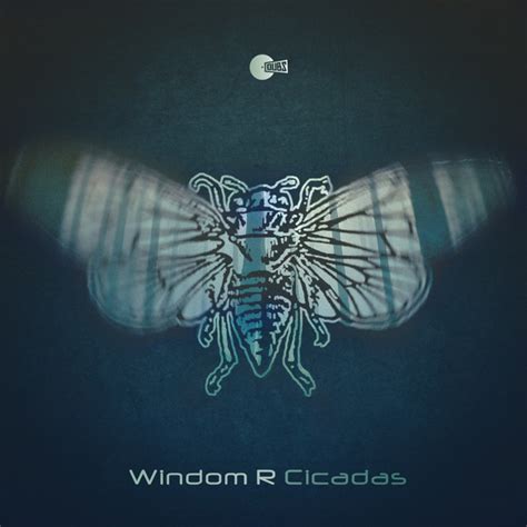 Cicadas Single By Windom R Spotify