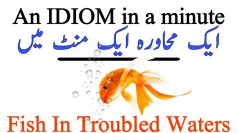 An Idiom In A Minute An Idiom A Day Fish In Troubled Waters