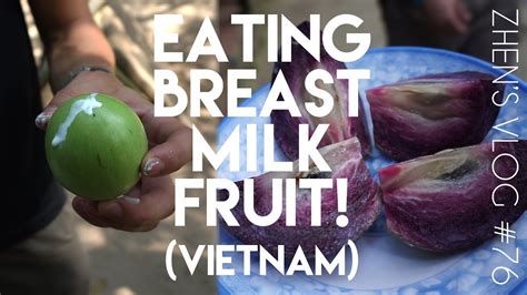 Vietnamese Milk Fruit