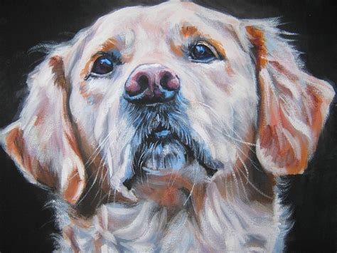 Golden Retriever Dog Art Portrait Canvas Print Of Lashepard