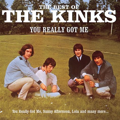 You Really Got Me The Best Of The Kinks The Kinks Cd Album