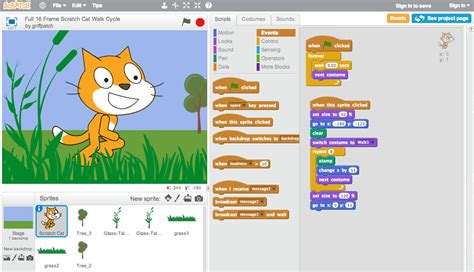 Partes De Scratch