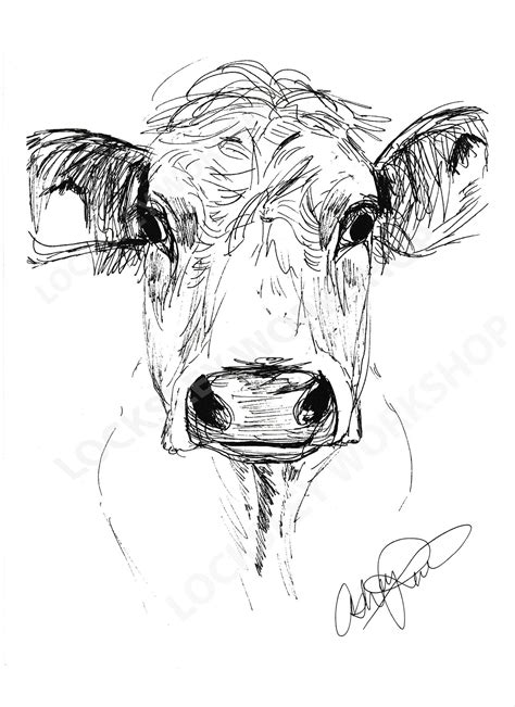 Cow Sketch Cow Sketch Cow Drawing Cow Art