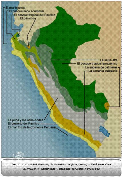Descubre Las Corrientes Marinas Del Peru Febrero 2024