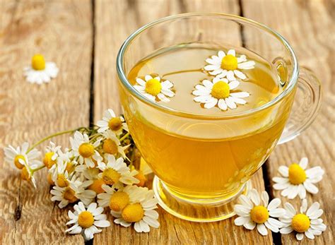 os 13 benefícios do chá da erva doce para saúde dicas de saúde