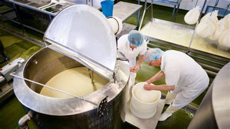 How To Guide On Processing Your Own Milk Farmers Weekly