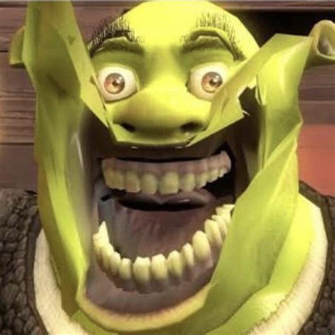 Please Share If You Believe That Shrek 5 Should Be Animated Entirely On Source Filmmaker