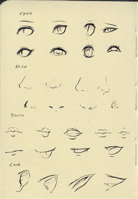 Pin By Keren Bahiense On Tutorial De Desenho Nose Drawing Anime Nose