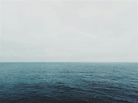 Calm Ocean · Free Stock Photo