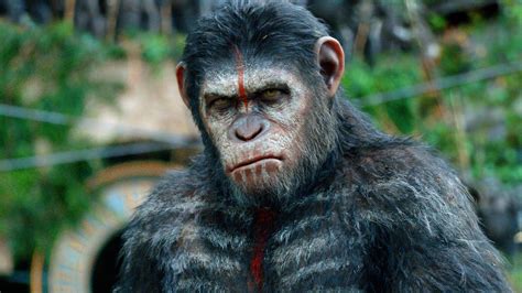 dawn of the planet of the apes drunksunshine