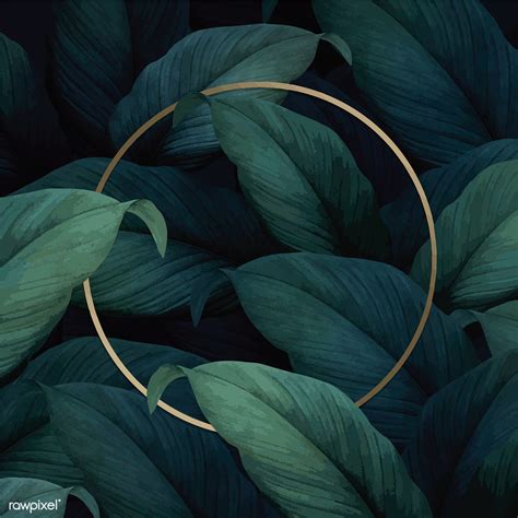 Gold Round Frame On Tropical Leaves Background Vector Premium Image