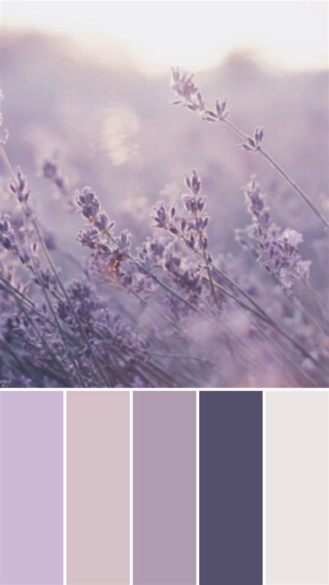 Lilac Moodboard Purple Color Palettes Pastel Colour Palette Color