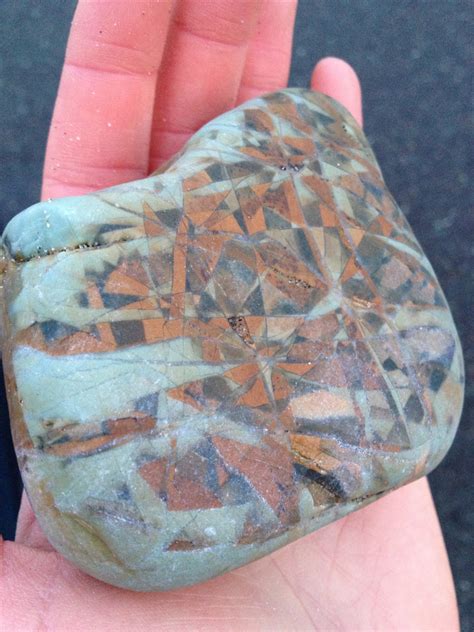 Agates Of The Oregon Coast Mystery Rock Found On The South Coast