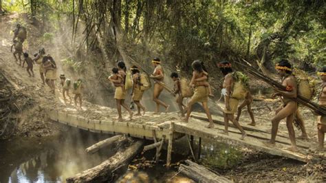 Unlocking The Mysteries Of The Amazons Awá Guajá Tribe