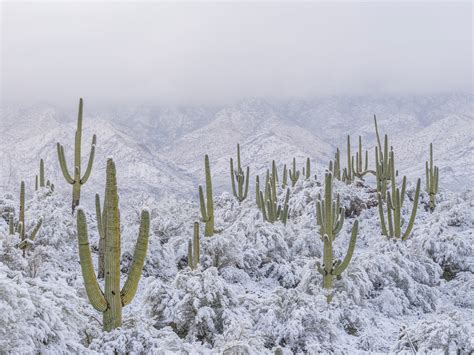 photo reveals first snowfall in a decade in north america s hottest desert the independent