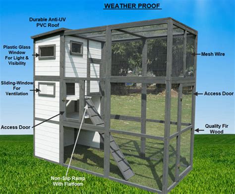 The burmese cat is often described as active and social, enjoying the company of others. Large Outdoor Cat Enclosure For Sale | Buy Online & Save