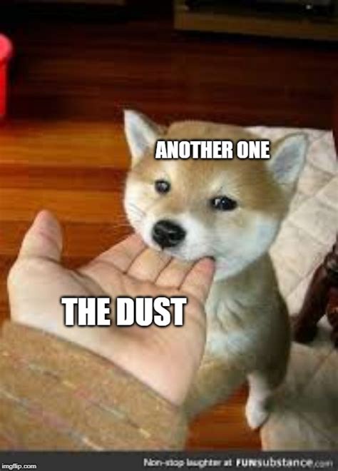 Another One Bites The Dust Meme Dog