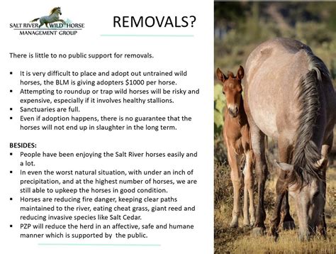 Long Term Wild Horse Management Plan Salt River Wild Horse