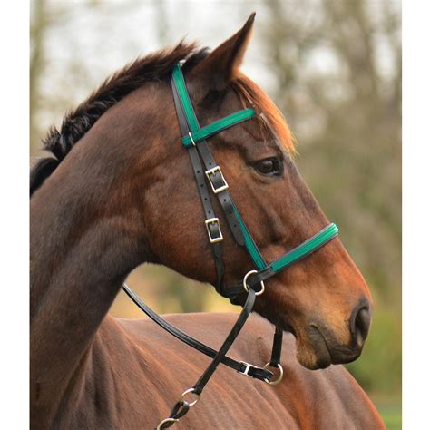 2 In 1 Bitless Bridle Made From Beta Biothane Any 2 Color Combo