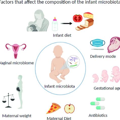 Pdf Maternal And Infant Factors That Shape Neonatal Gut Colonisation