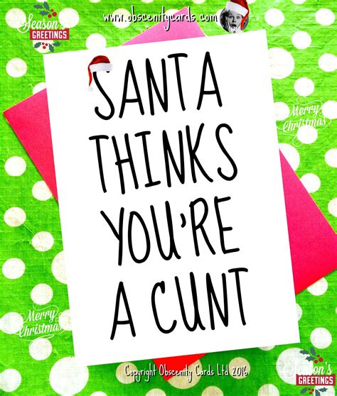 Funny Christmas Card Santa Thinks You Re A Cunt