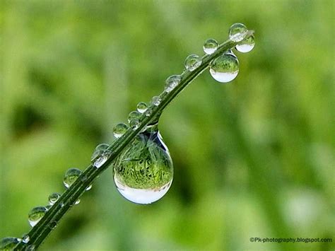 Dew Drops Nature Cultural And Travel Photography Blog