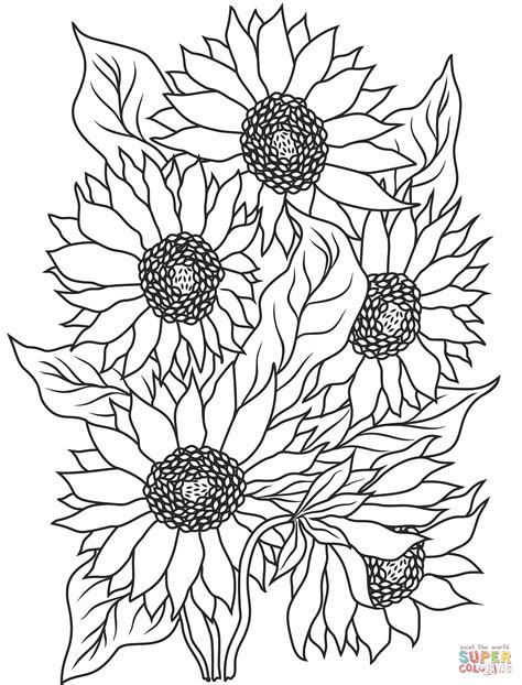 Sunflower Coloring Book Pages Sketch Coloring Page