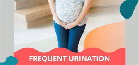 Frequent Urination In Pregnancy Quick Tips FabMoms