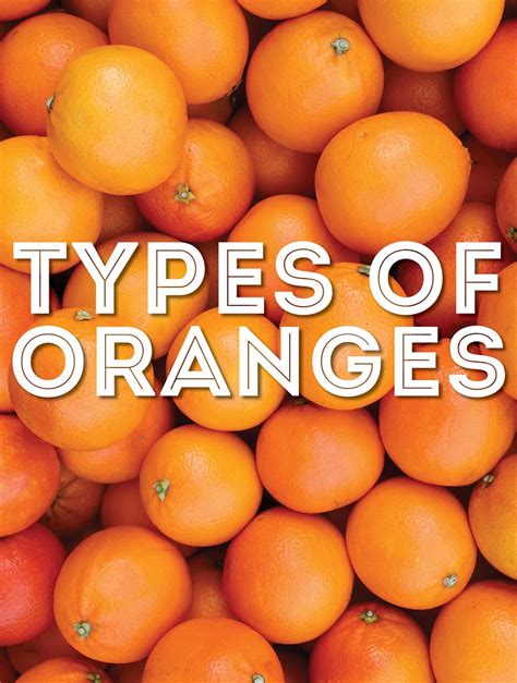 39 Types Of Oranges From A To Z With Photos Live Eat Learn