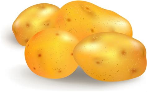 Free Potatoes Cliparts Free Download Free Potatoes Cliparts Free Png Images Free Cliparts On