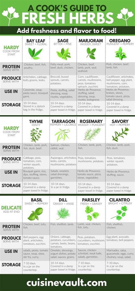 Cooking With Fresh Herbs An Ultimate Guide Artofit