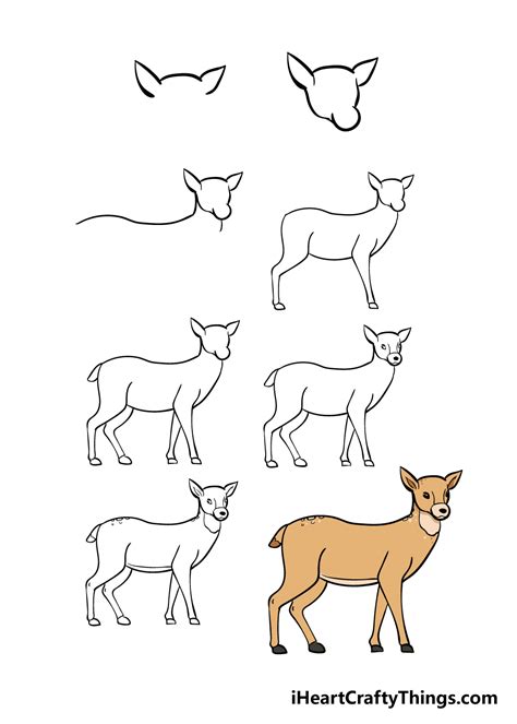 How To Draw A Deer Sketchok Easy Drawing Guides Vrogue Co