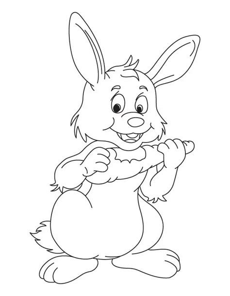 Dibujo De Un Conejo Comiendo Zanahoria Para Colorear Dibujos Para