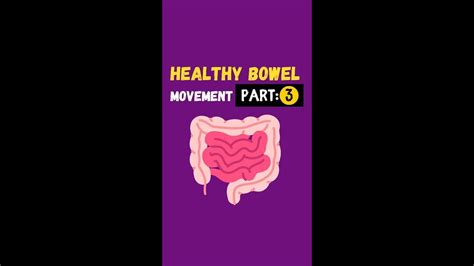 Correct Toilet Position Healthy Bowel Movement Ep 3shorts Youtube