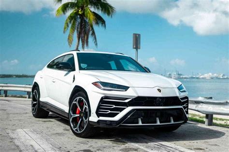 Rent Lamborghini Urus White In Miami Pugachev Luxury Car Rental