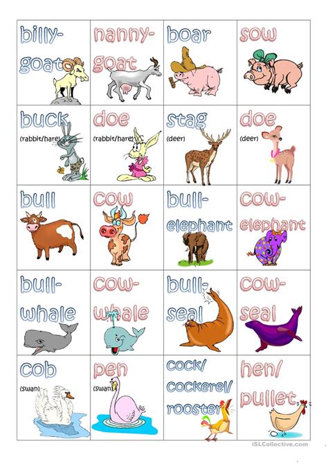 In this lesson, you will learn a list of common collective nouns for animals in english. Nouns Gender Animals - English ESL Worksheets for distance ...
