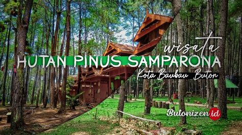 Hutan Pinus Samparona Kota Baubau Buton Youtube