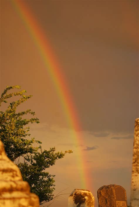 Rainbow Gods Promise Rainbow Picture